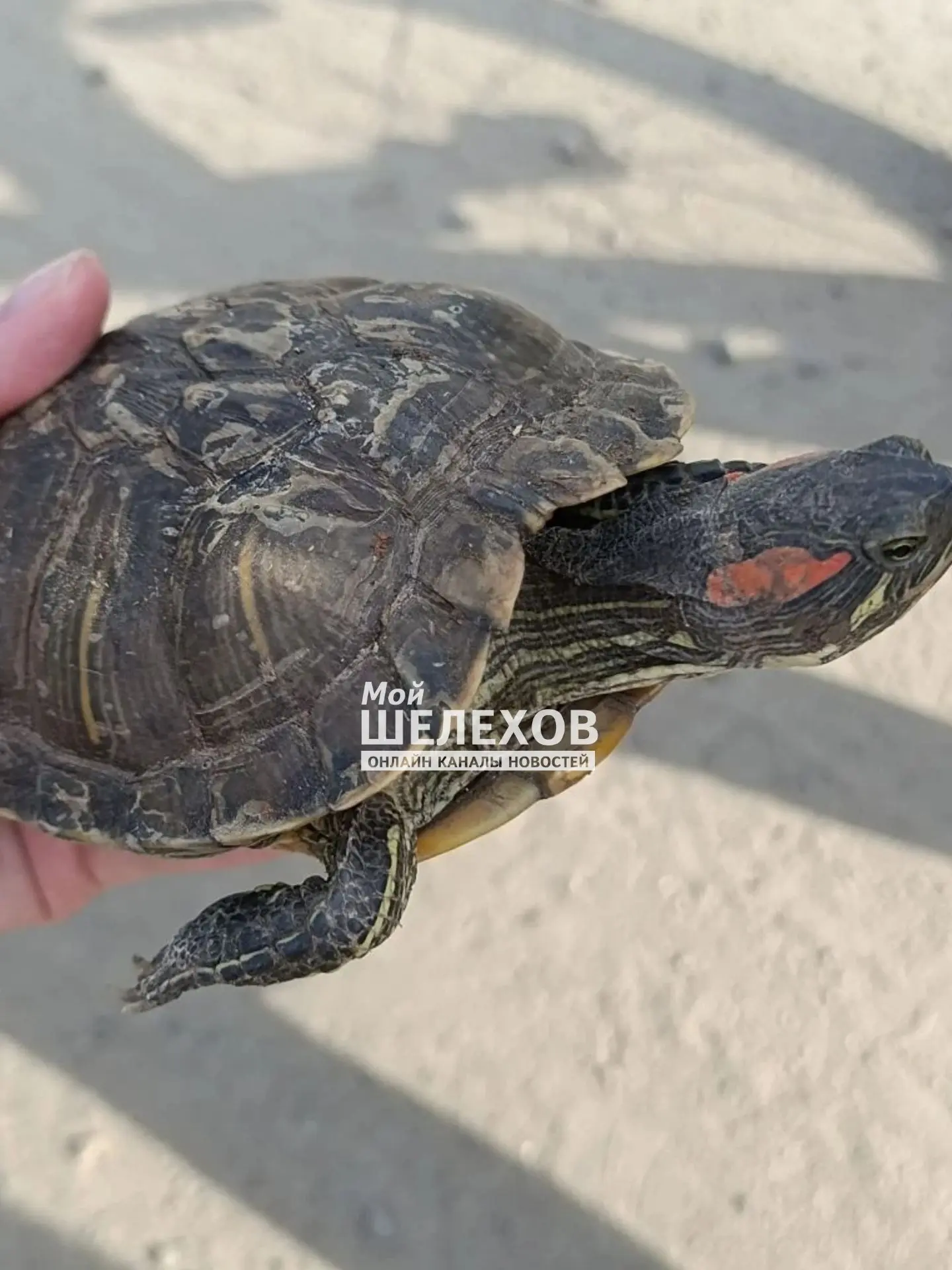 ❗Внимание, розыск!