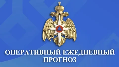 ОПЕРАТИВНЫЙ ЕЖЕДНЕВНЫЙ ПРОГНОЗ