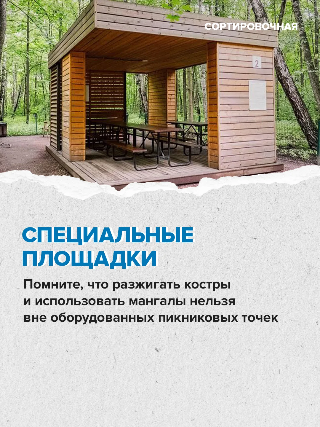 🍢 В пяти парках Москвы уже можно забронировать места для пикника  ⬆️ Как провести время на природных
