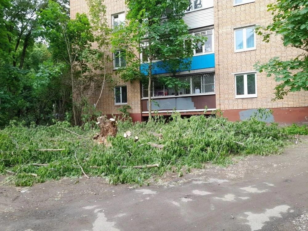 🏡 О выполненных работах по благоустройству 27.05.26 по адресу Первомайская 36