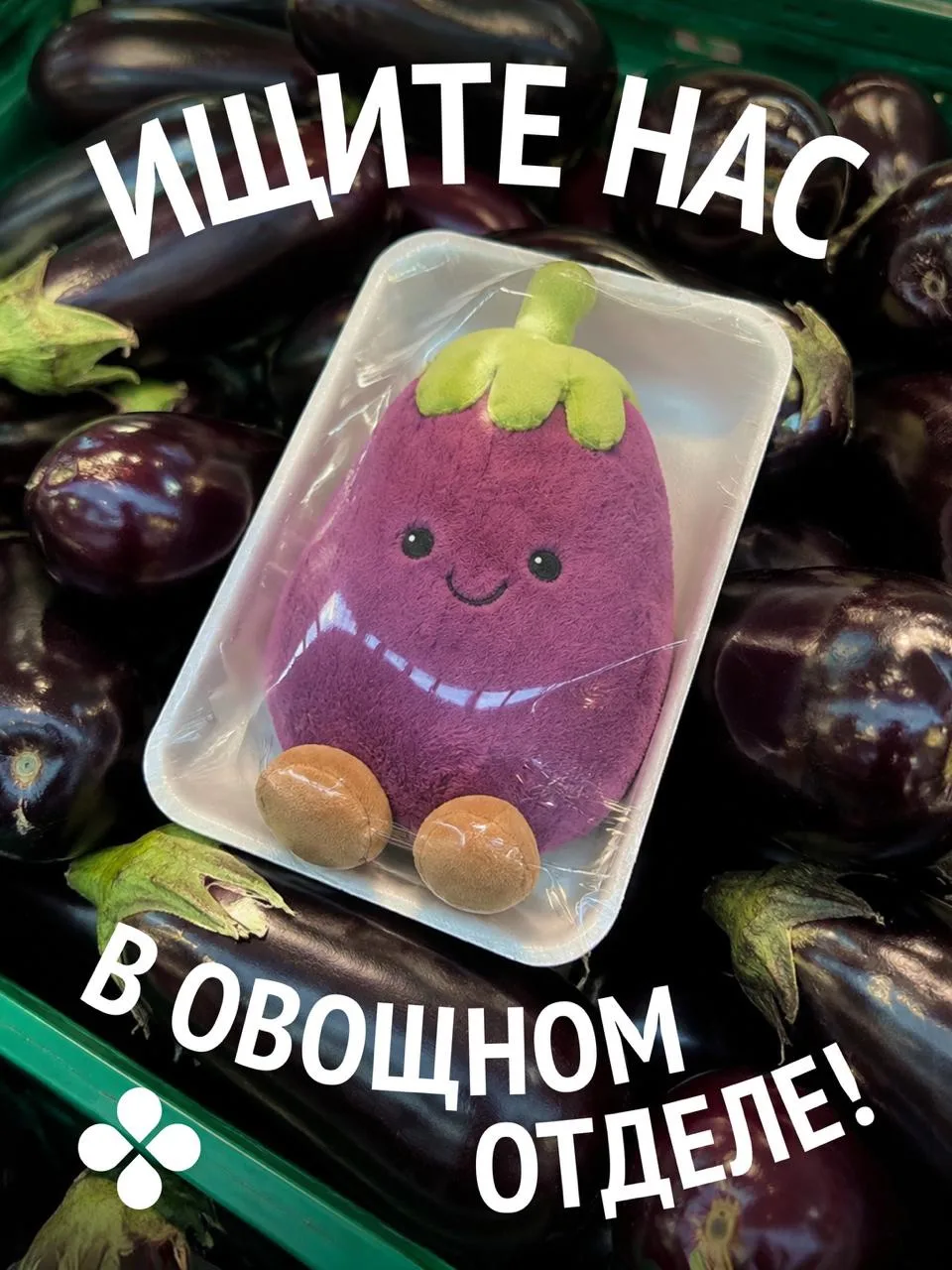 «Витаминки» на законных местах! 🥦🧅🌽🥬🍆🥒🥕