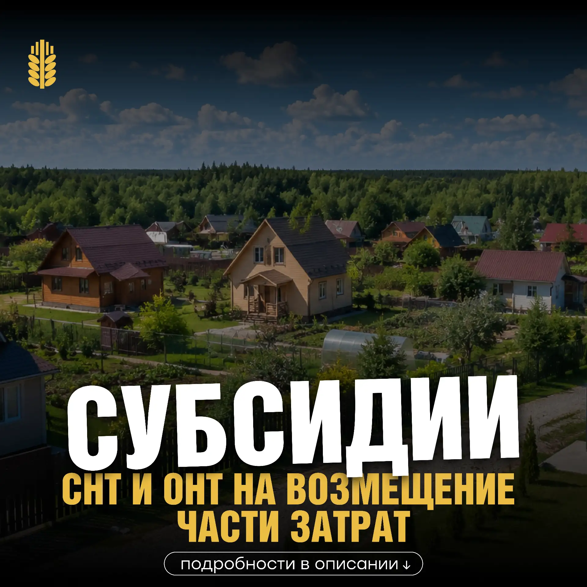 Стартует прием заявок на субсидии для СНТ и ОНТ