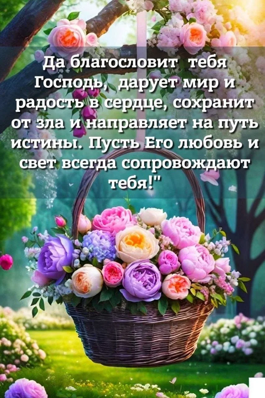 Мои открытки
