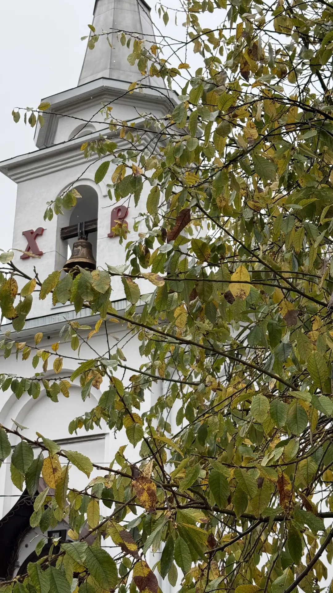 Вот и наступила осень 🍂