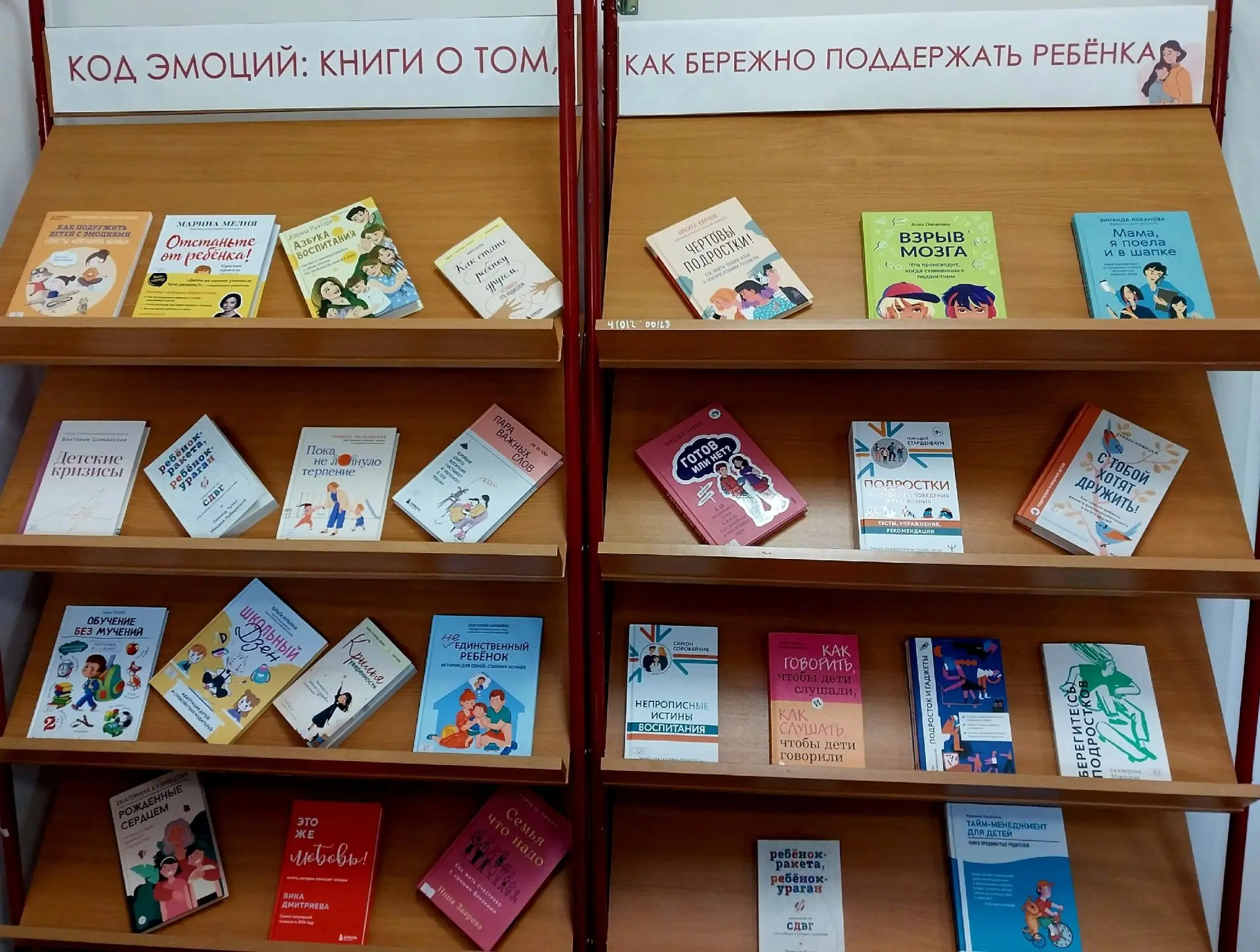 Выставка «Код эмоций: книги о том, как бережно поддержать ребенка»
