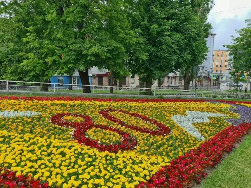 Моем, косим, убираем: как готовят Калининград к Дню города

Городские улицы отмывают от граффити, до