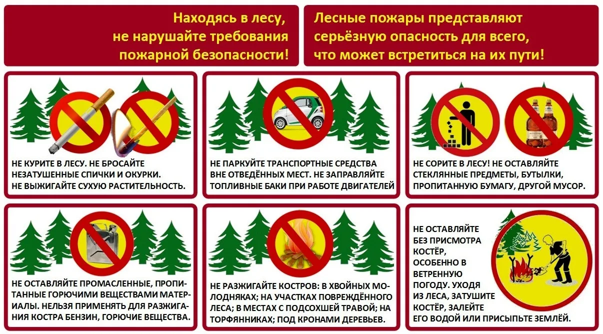 При сборе ягод и грибов,