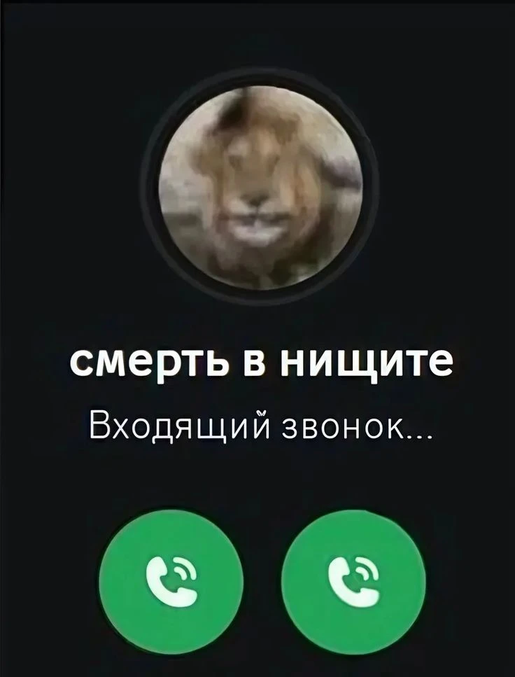 Росреестр назвал главные причины, из-за которых сделку с квартирой могут признать недей...