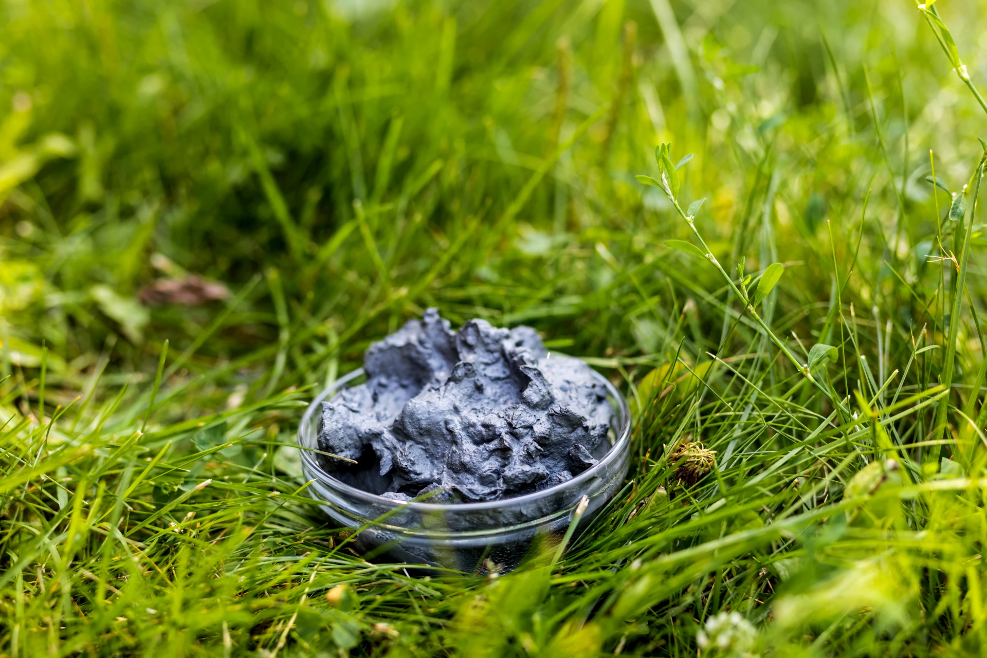 Природная помощь для суставов и позвоночника 🌿