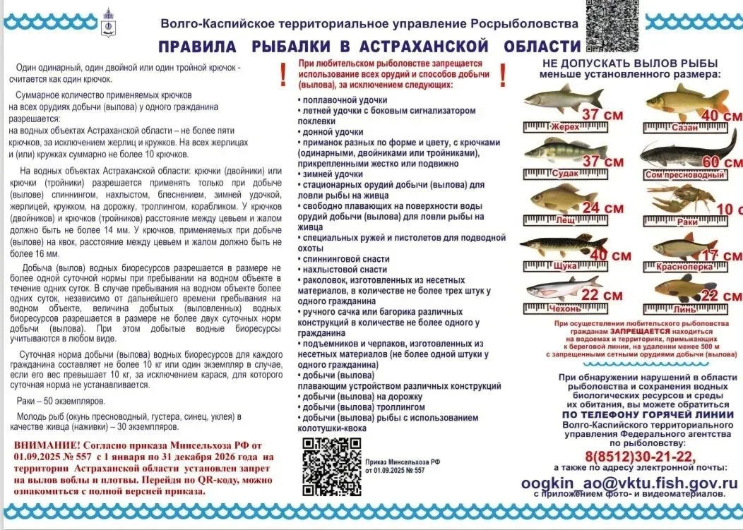 Правила рыбалки в Астраханской области на 2026 год  Минсельхоз России установил запретные периоды дл
