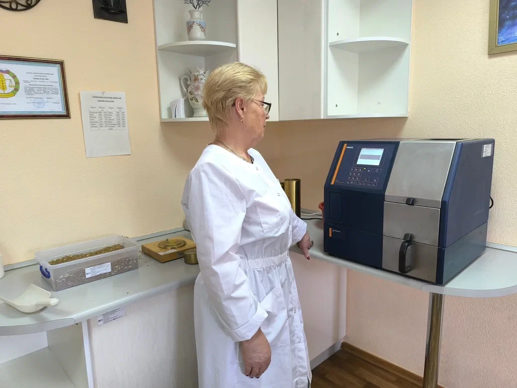 В Россельхозцентре оценили качество зерна нового урожая на Донбассе