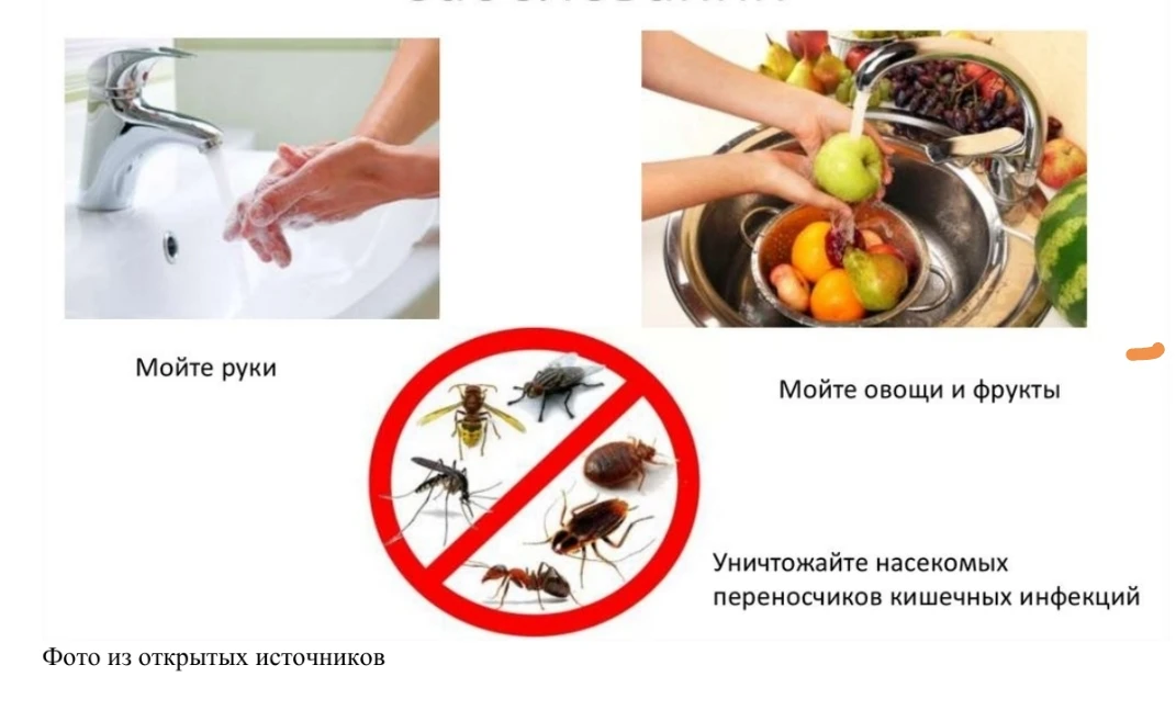 Профилактика паразитарных заболеваний.