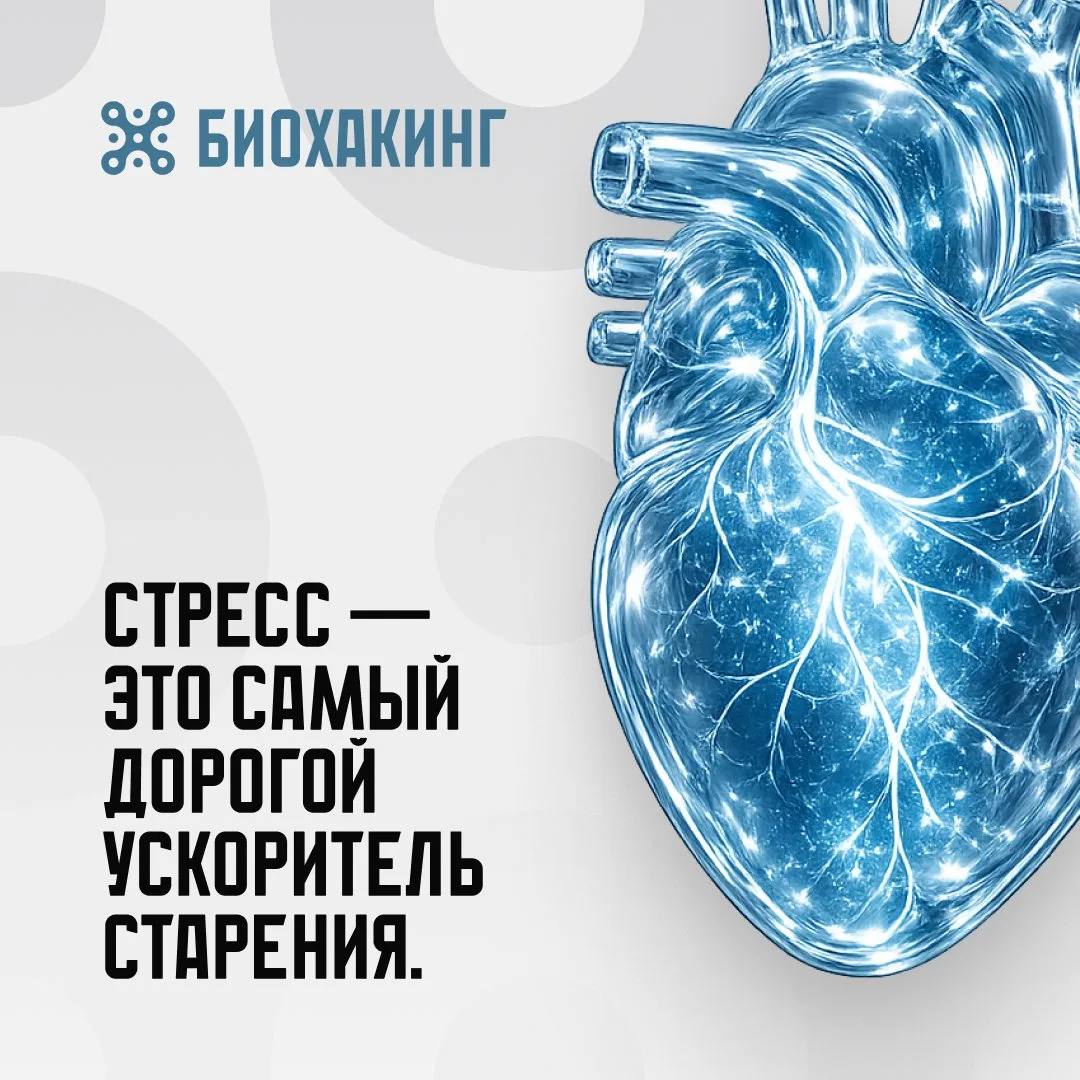 Главный дефицит современного человека — не время.
А восстановление.

Хронический стресс буквально ме