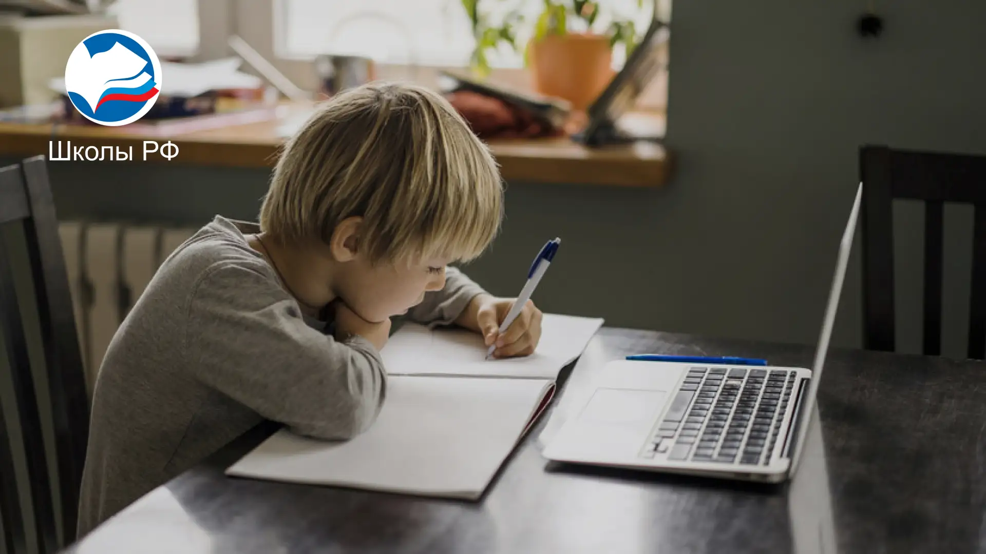 Школьникам предложили задавать ещё меньше домашек

В Общественной палате предложили снова сократить 