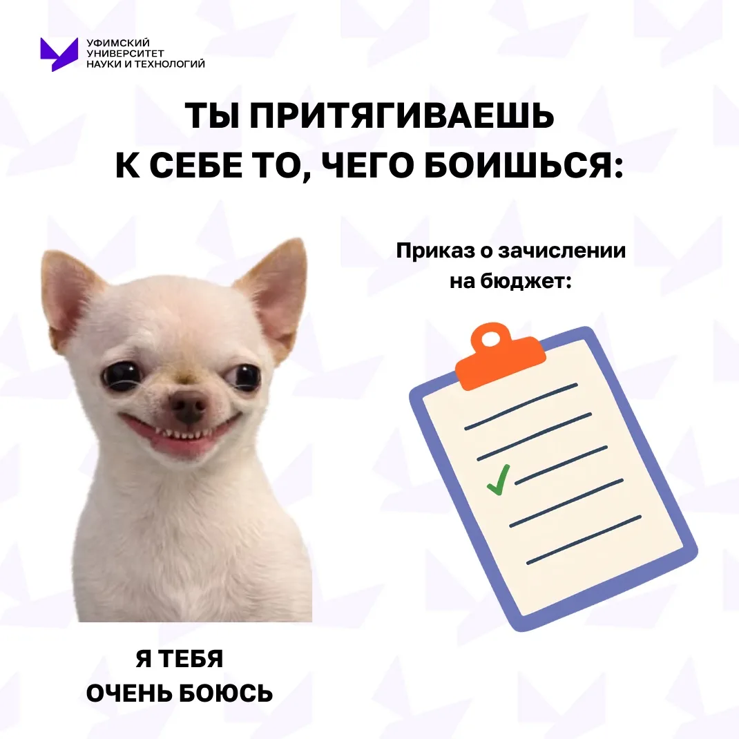 Август – это либо спокойный отдых, либо бесконечное обновление списков поступающих 😄

А как проходи