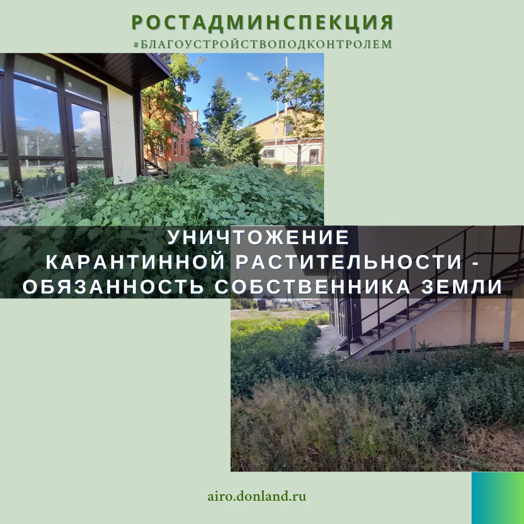 🌿 Напоминаем, что правила благоустройства городских и сельских поселений Ростовской области обязыва