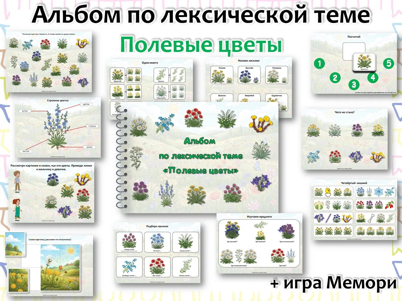 Лексическая тема  «Полевые цветы»  Игры в составе альбома:  1. Назови одним словом  2. Строение цвет