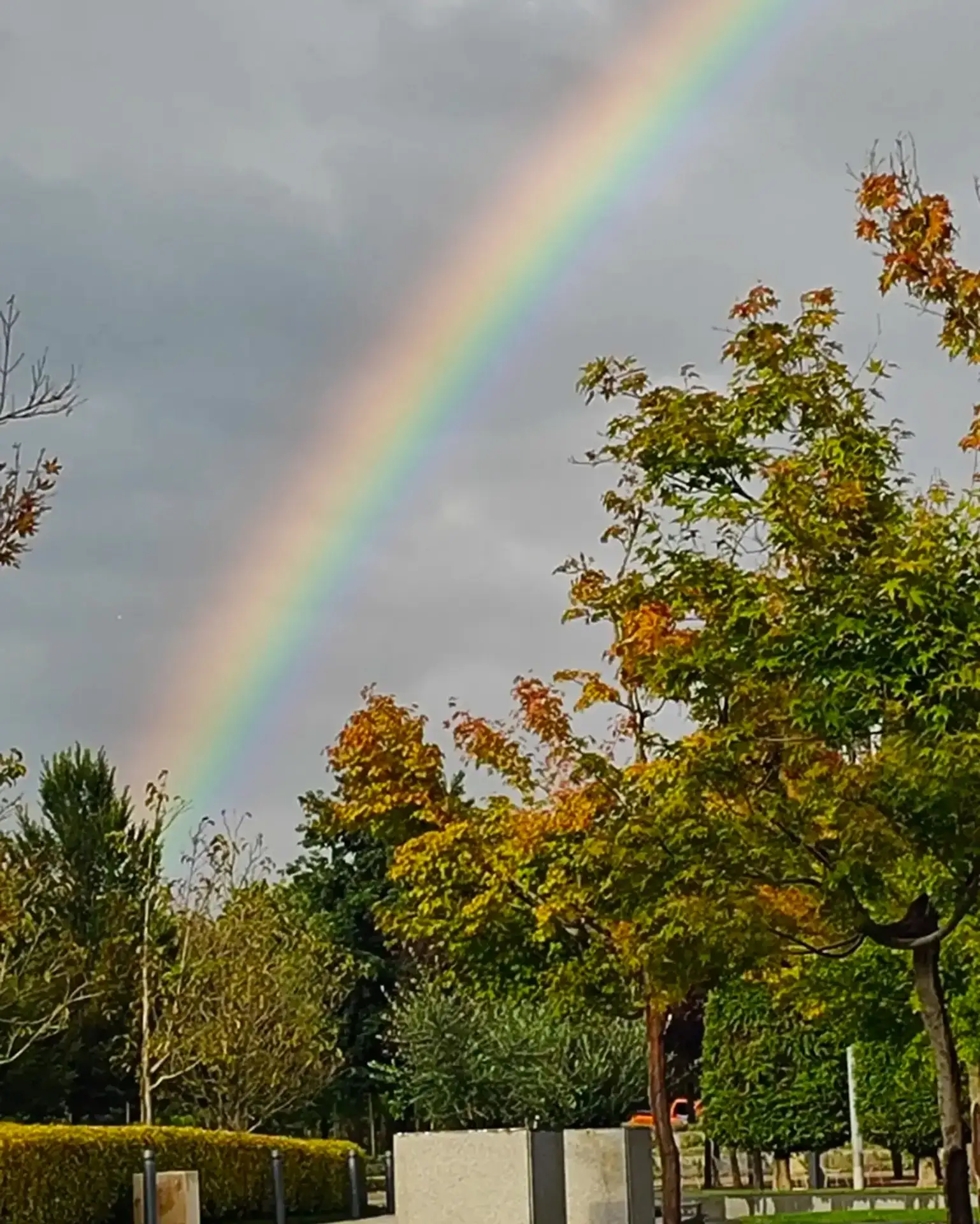 Любимое занятие в дождь в Парке Галицкого - ловить радугу 🌈☔️