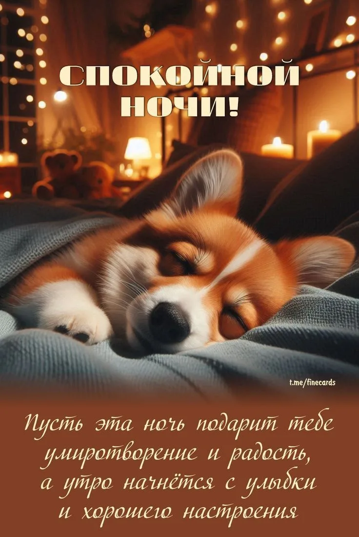 Добрый вечер, мои дорогие! поздравляю всех с окончанием рабочей недели! Хорошего всем о...