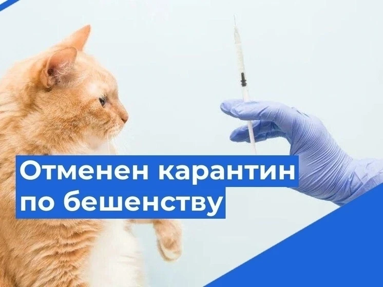 Отменен карантин по бешенству на территории деревни Карькова Бердюжского муниципального...