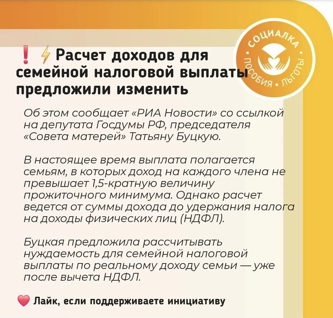 ❗В России предложили рассчитывать нуждаемость для семейной налоговой выплаты по реальному доходу сем