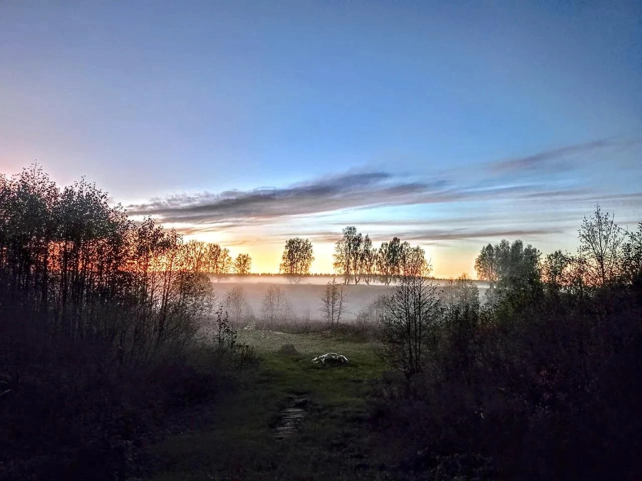 Туман прячет осенние тайны. Один шаг — и он заговорит шёпотом. 🌫✨