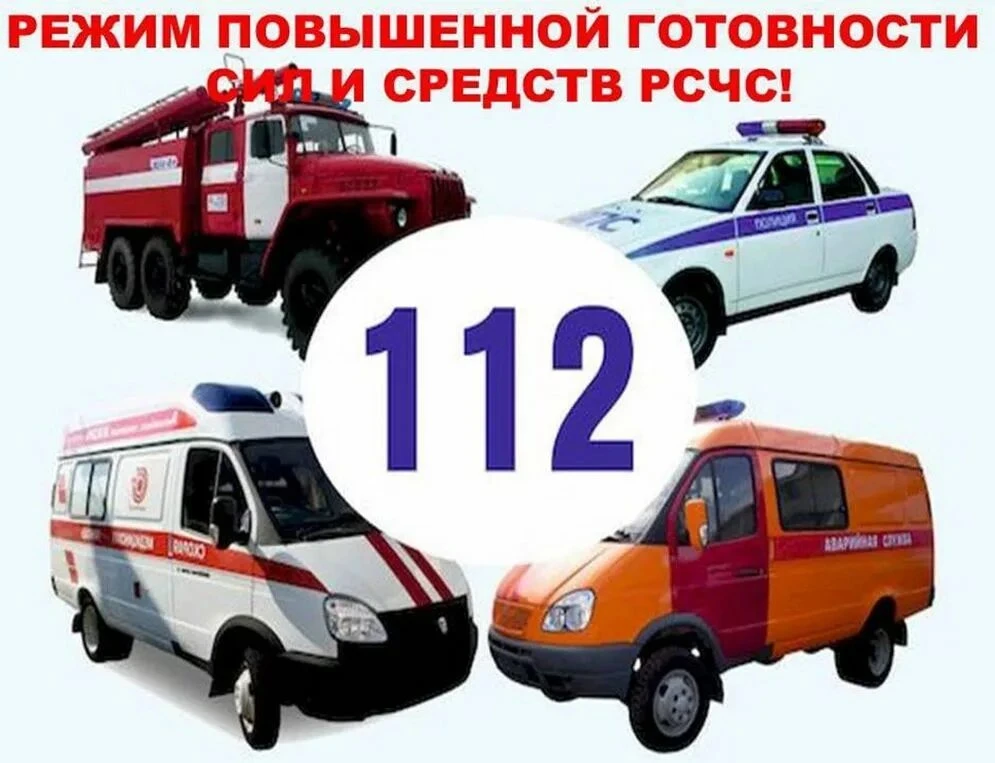 ‼️Если вы заметили медведя — звоните по номеру 112.