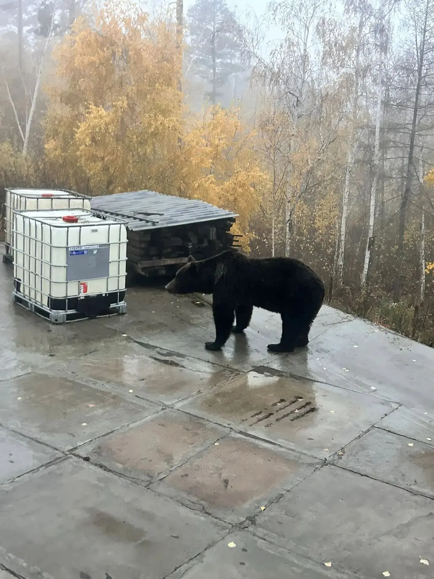 О...том, что всё подтвердилось...