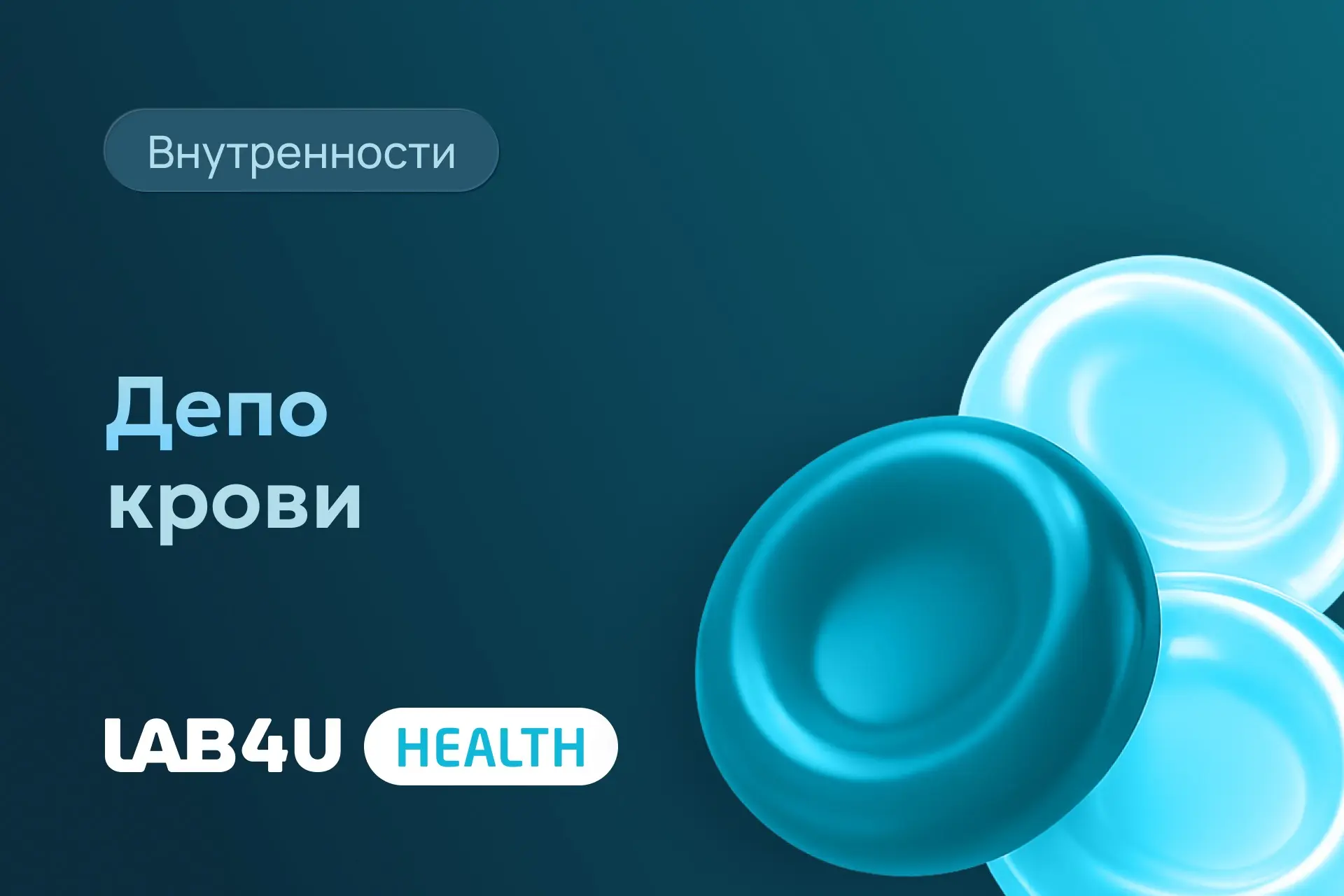Кровь в нашем организме хранится и циркулирует не только по сосудам, но также частично ...