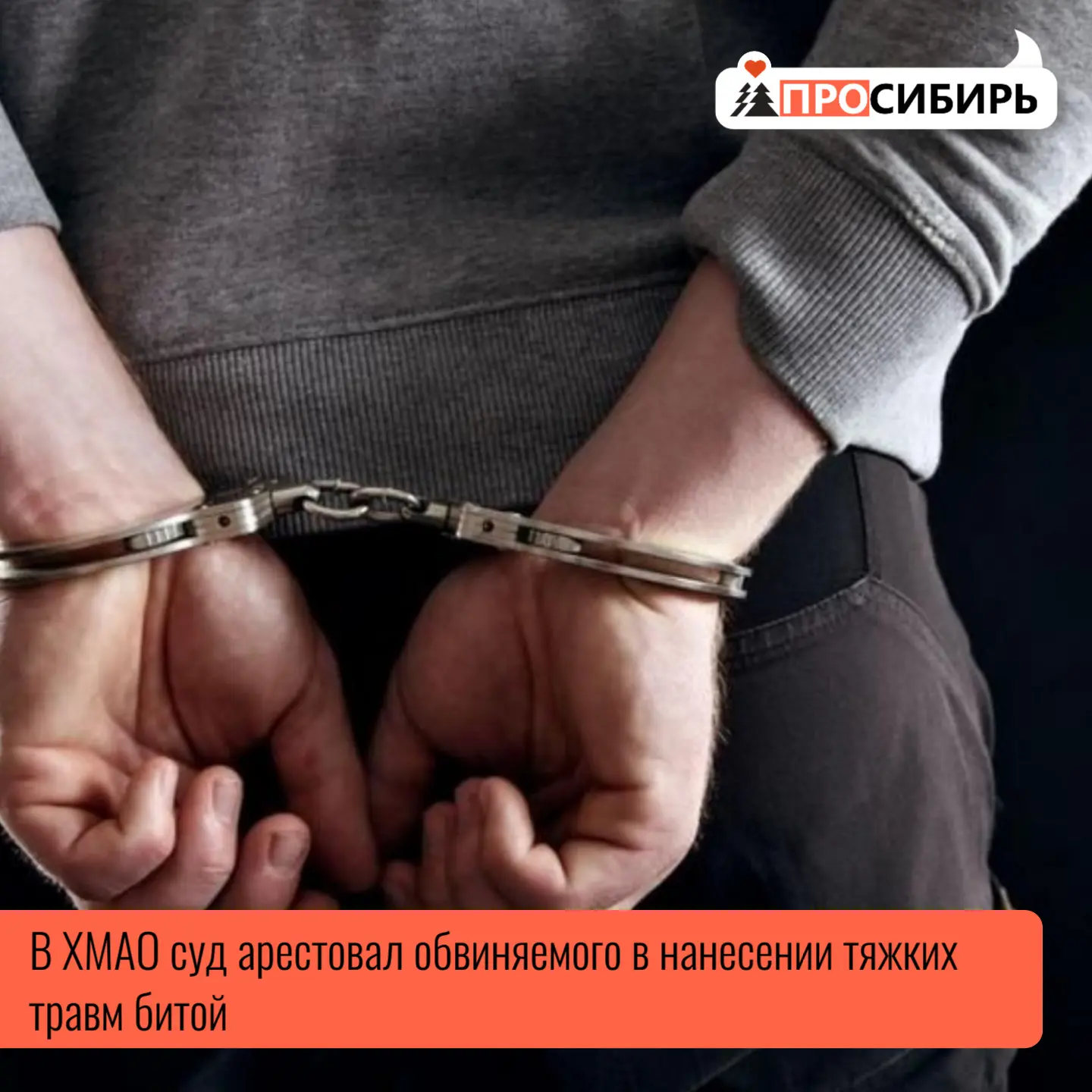 Няганский городской суд Ханты‑Мансийского автономного округа - Югры удовлетворил ходатайство следств