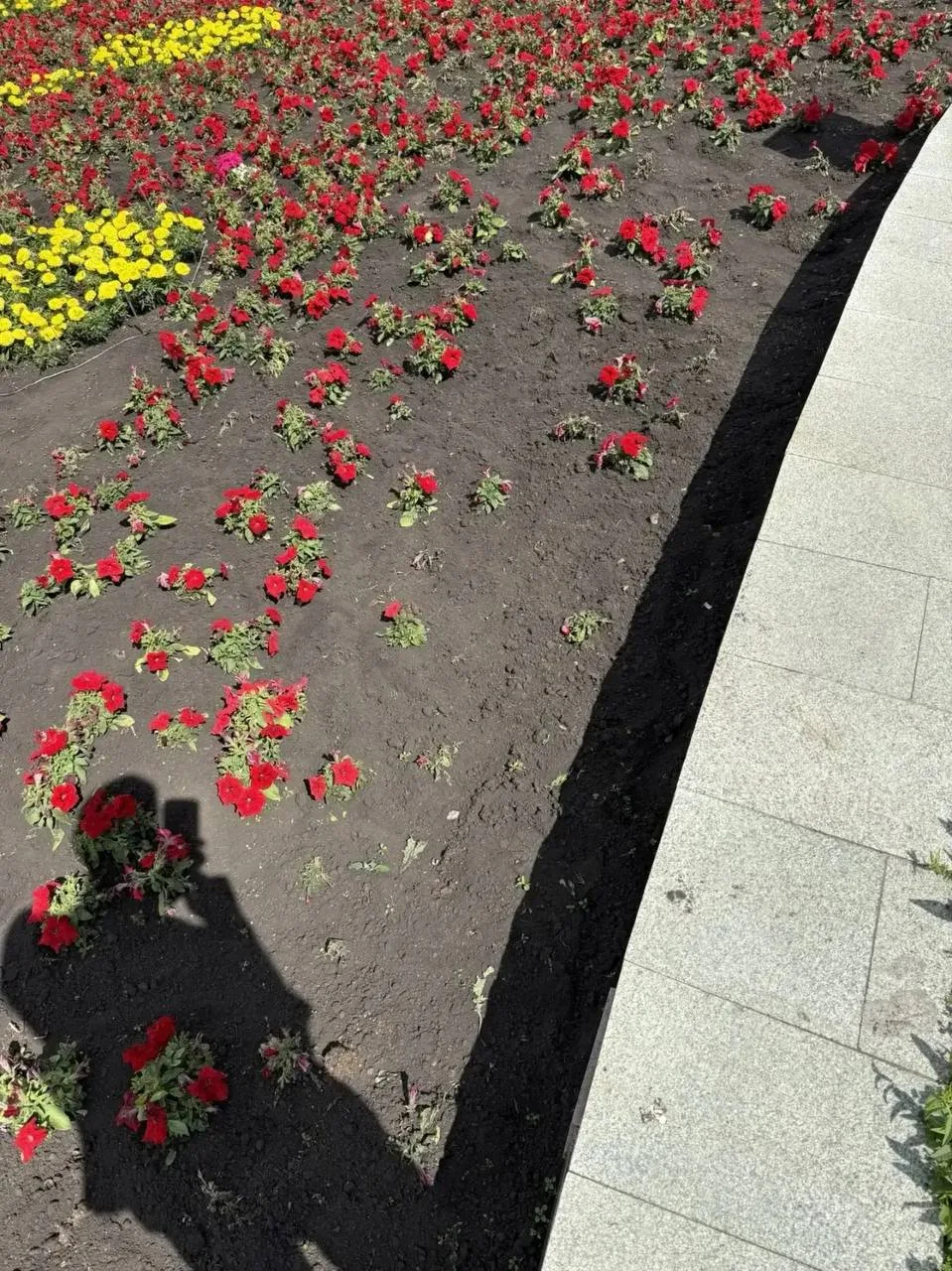 🥀 В Салавате похитили цветы с монумента памятника Салавата Юлаева