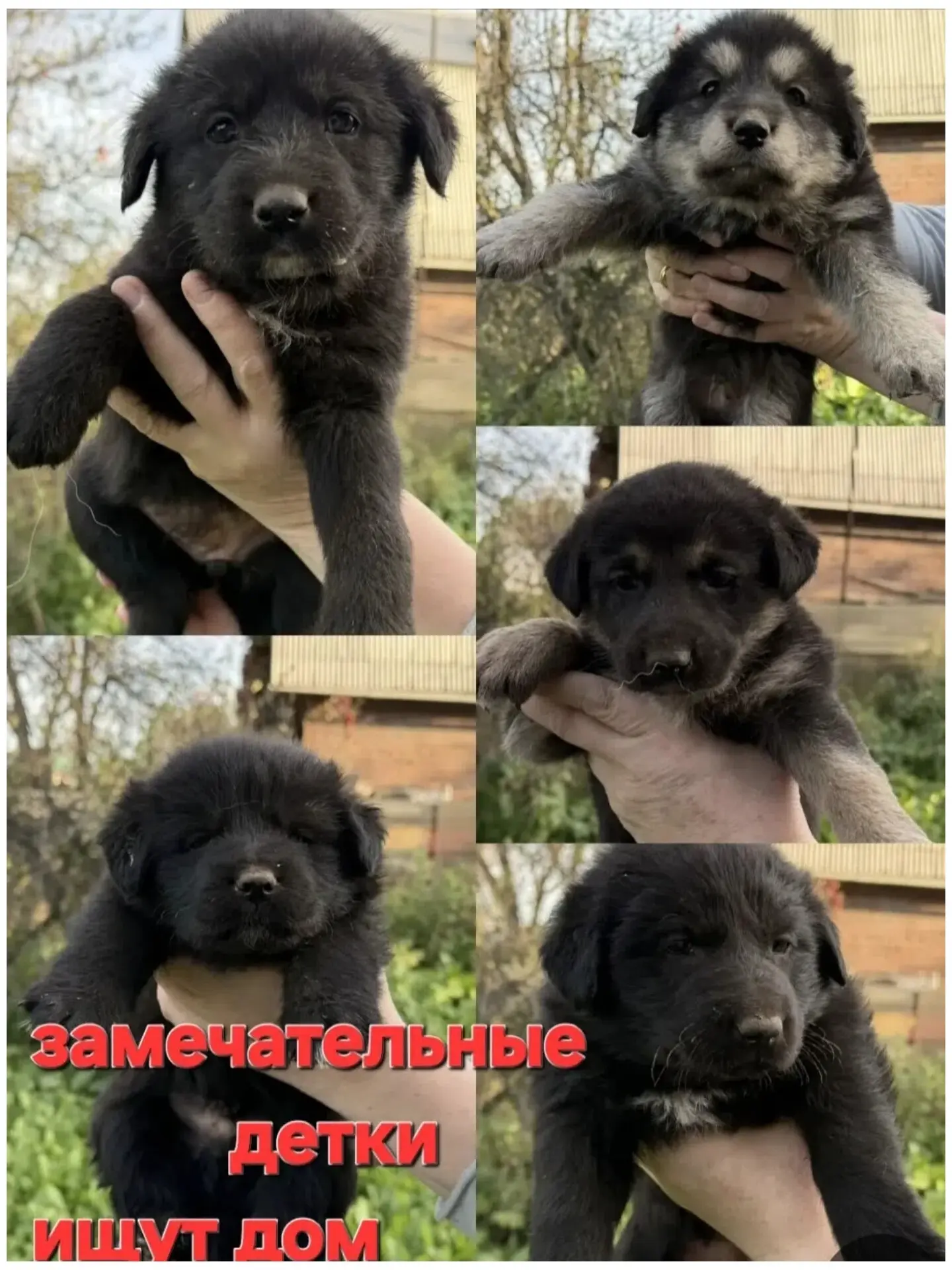‼️ Ваш репост — шанс подарить малышам счастливое будущее!‼️