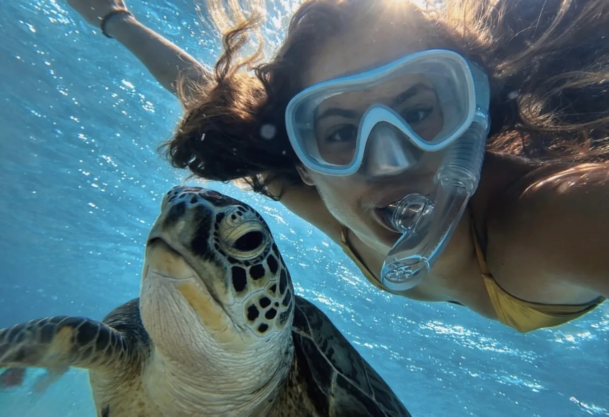 🐠Отель в Египте, который мы рекомендуем любителям подводного мира - Swisstouch Orienta...