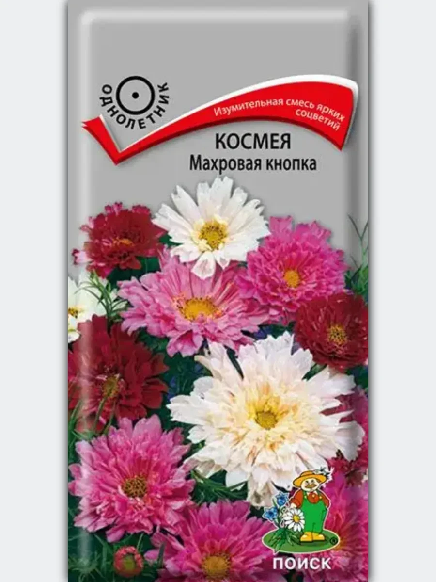 🌼✨ Откройте для себя настоящее цветочное волшебство с семенами Космеи махровой Кнопка! Эти удивитель
