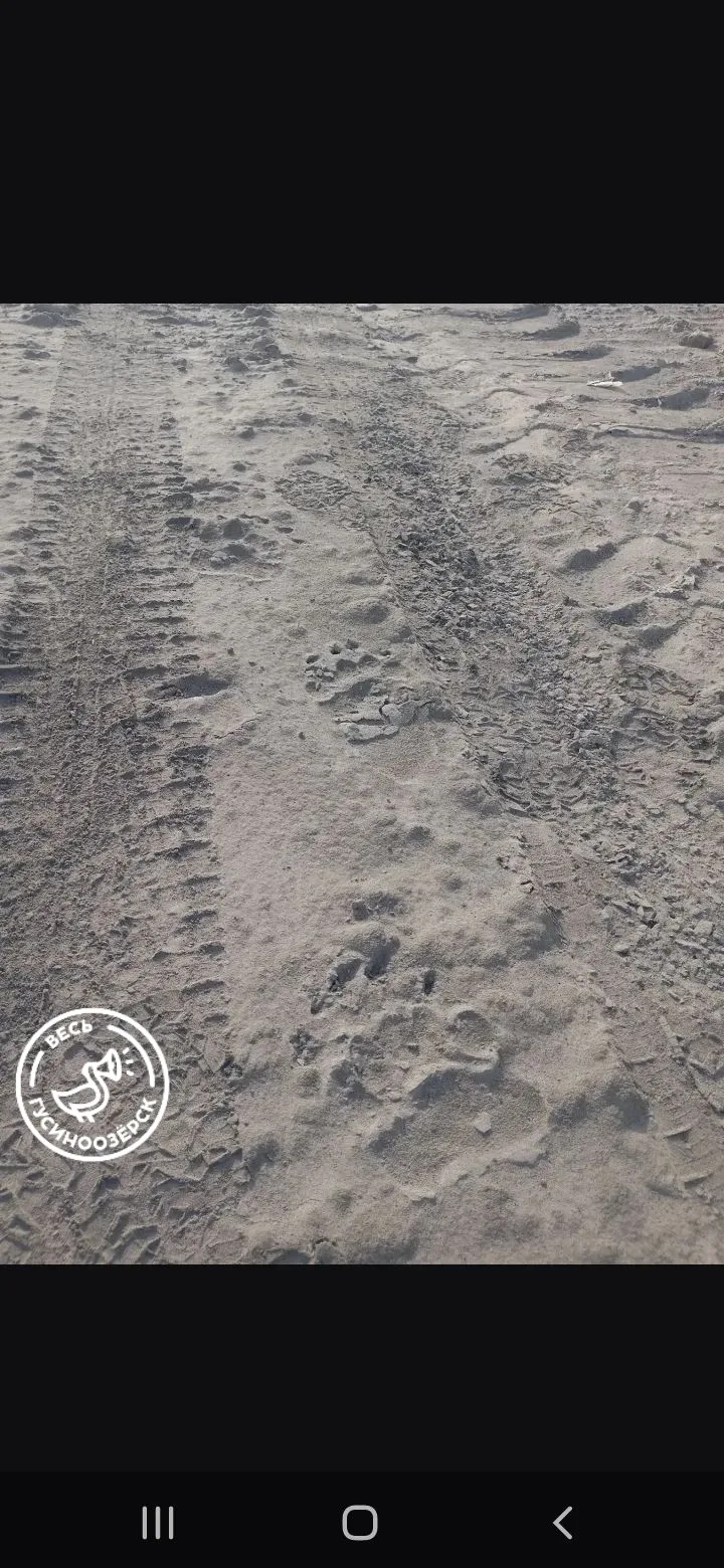 📩 Жители говорят