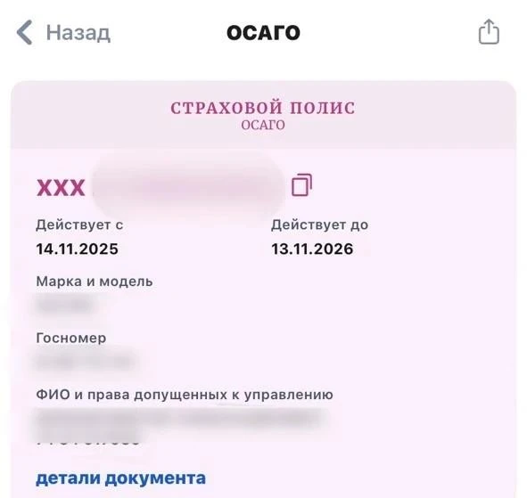 Около 500 жителей региона с инвалидностью получили от отделения СФР компенсацию стоимос...