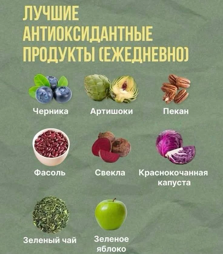 ✅Лучшие антиоксидантные продукты!

Которые можно принимать на ежедневной основе!

🌿Травник