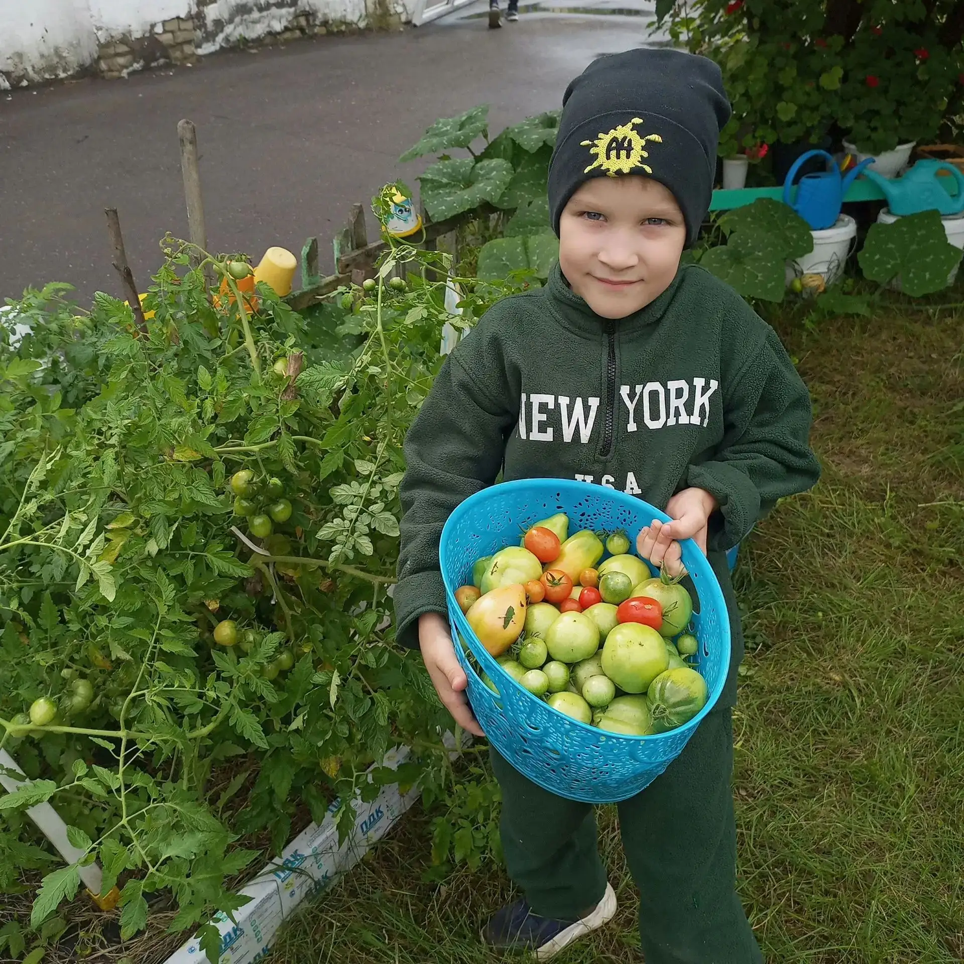 Когда в детском саду говорят «урожай с огорода», 🍅 обычно имеют в виду не только сами ...