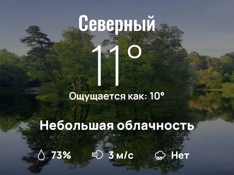 Что с погодой в Северном?