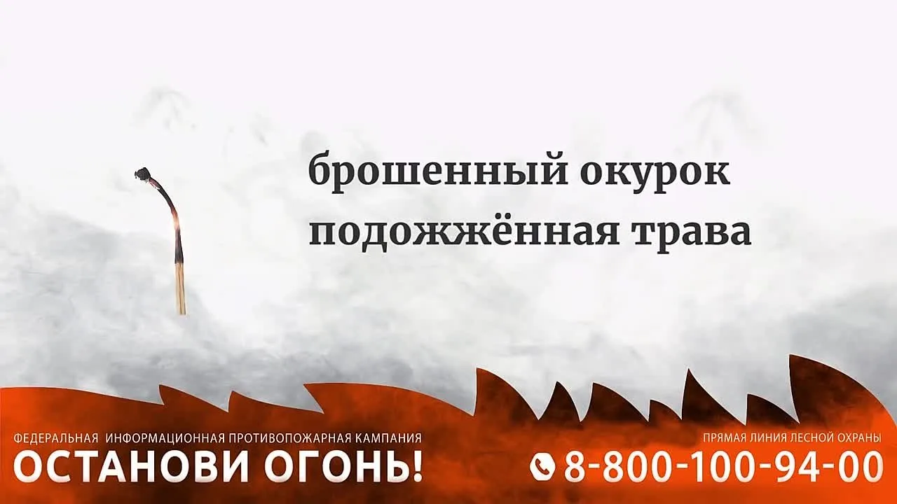 📛 Большинство лесных пожаров происходит по вине человека. Хотите предотвратить бедствие? Соблюдайте