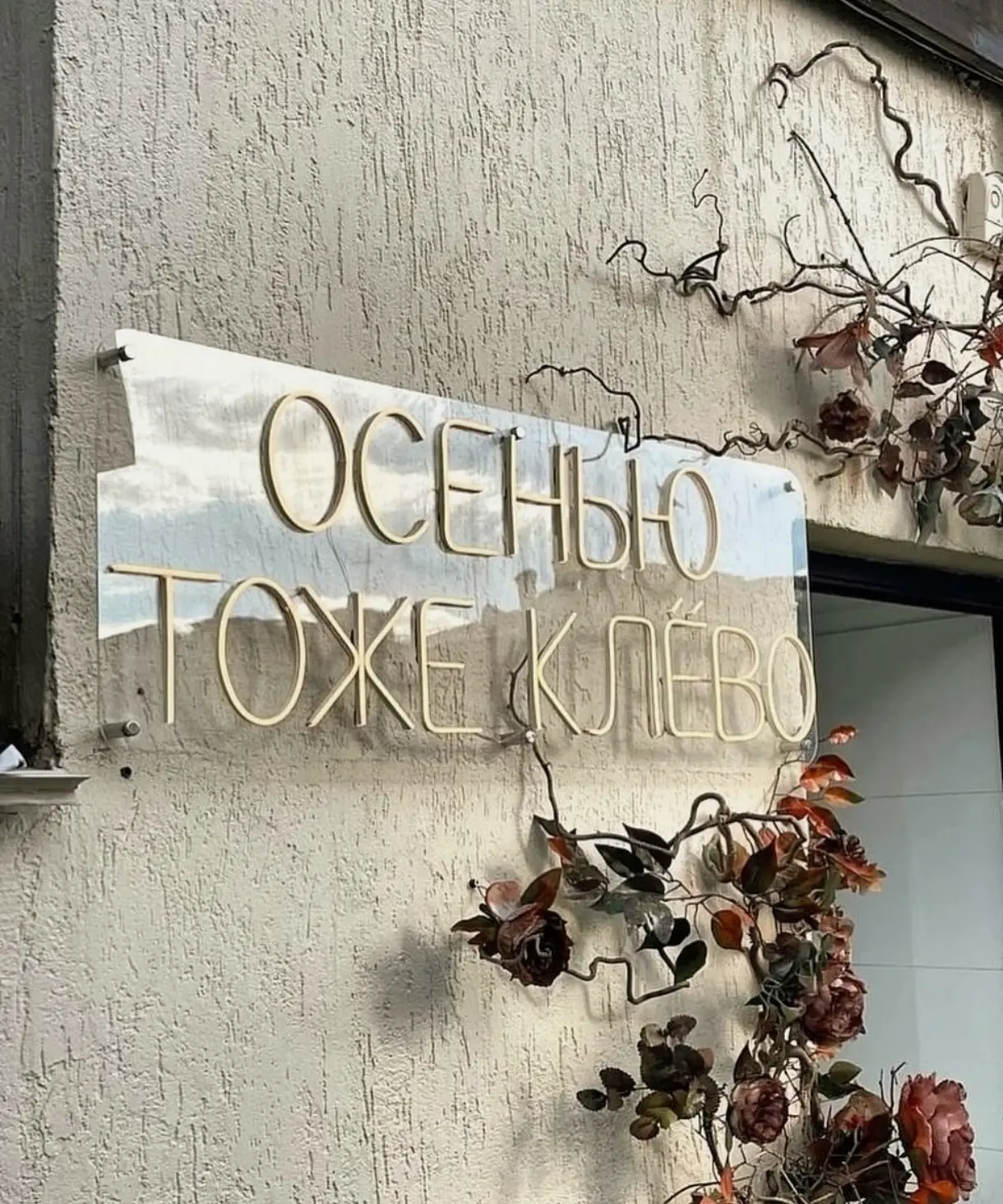 #кафеверлибр