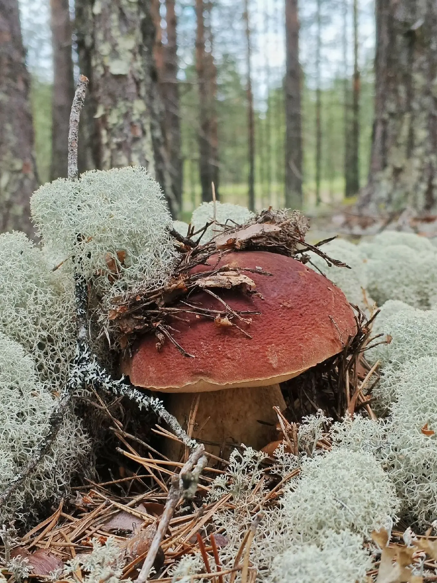 📸 Внимание, фотографы и любители прекрасного!