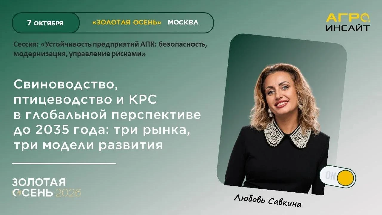 Устойчивость предприятий АПК: как управлять рисками на рынке белка