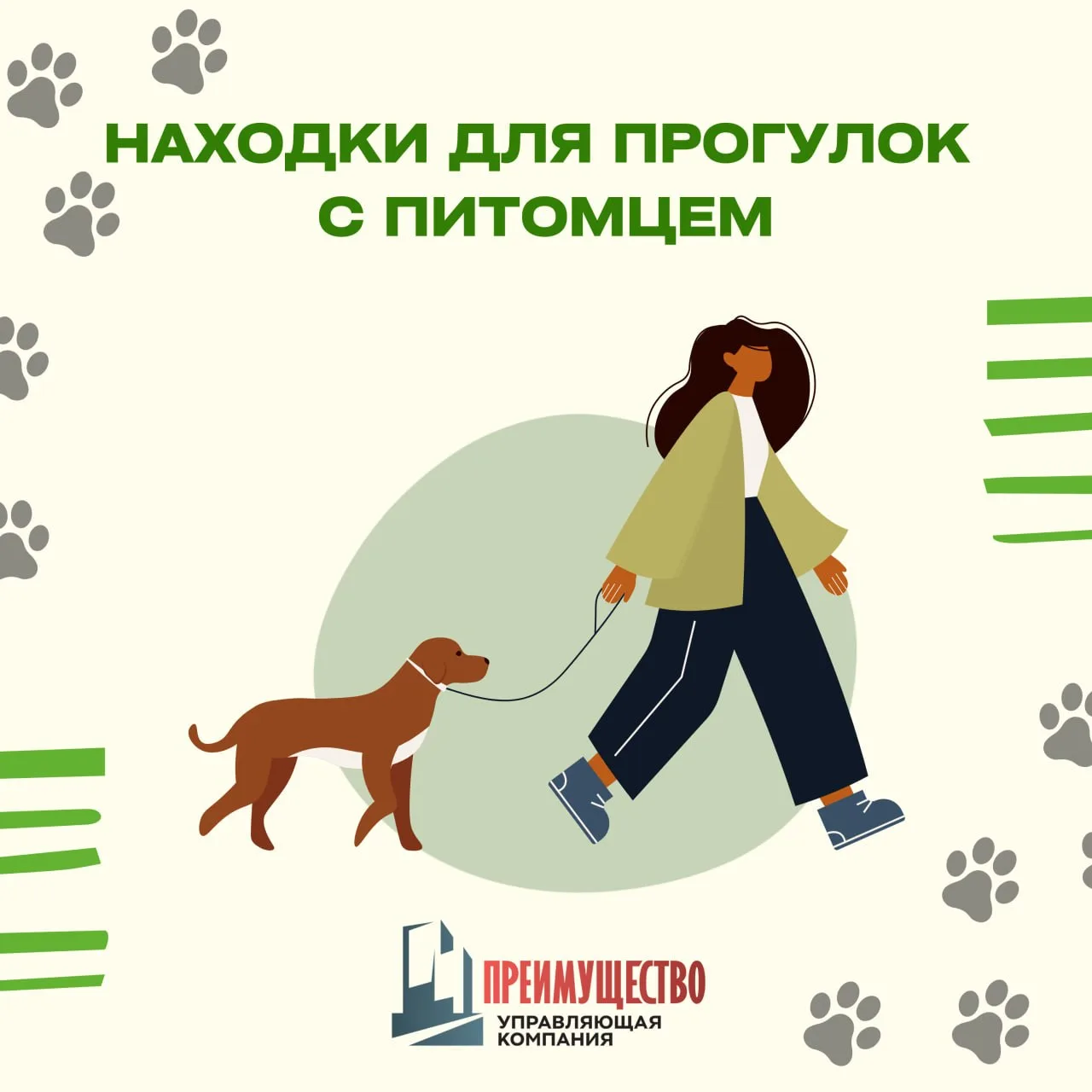 Хвостик будет доволен: полезные находки для прогулок