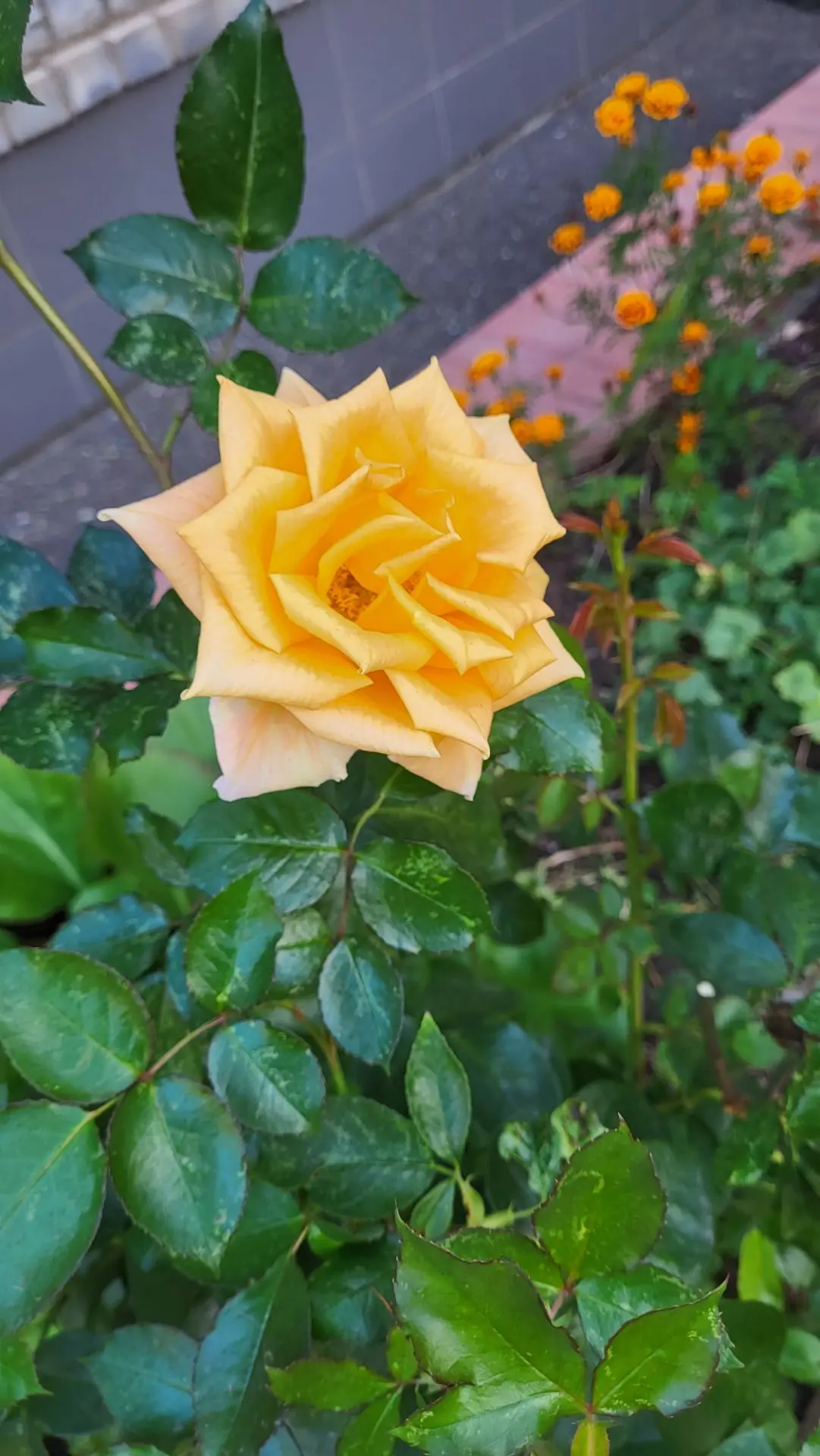 Доброго субботнего утра, друзья 🌞