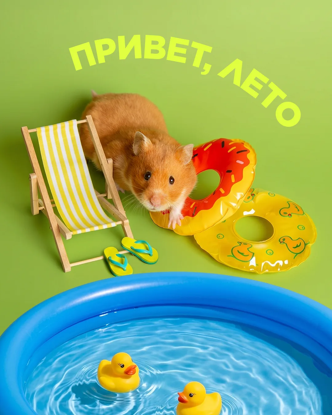 Хоямочк не стал ждать — просто достал шезлонг и объявил лето открытым ☀️