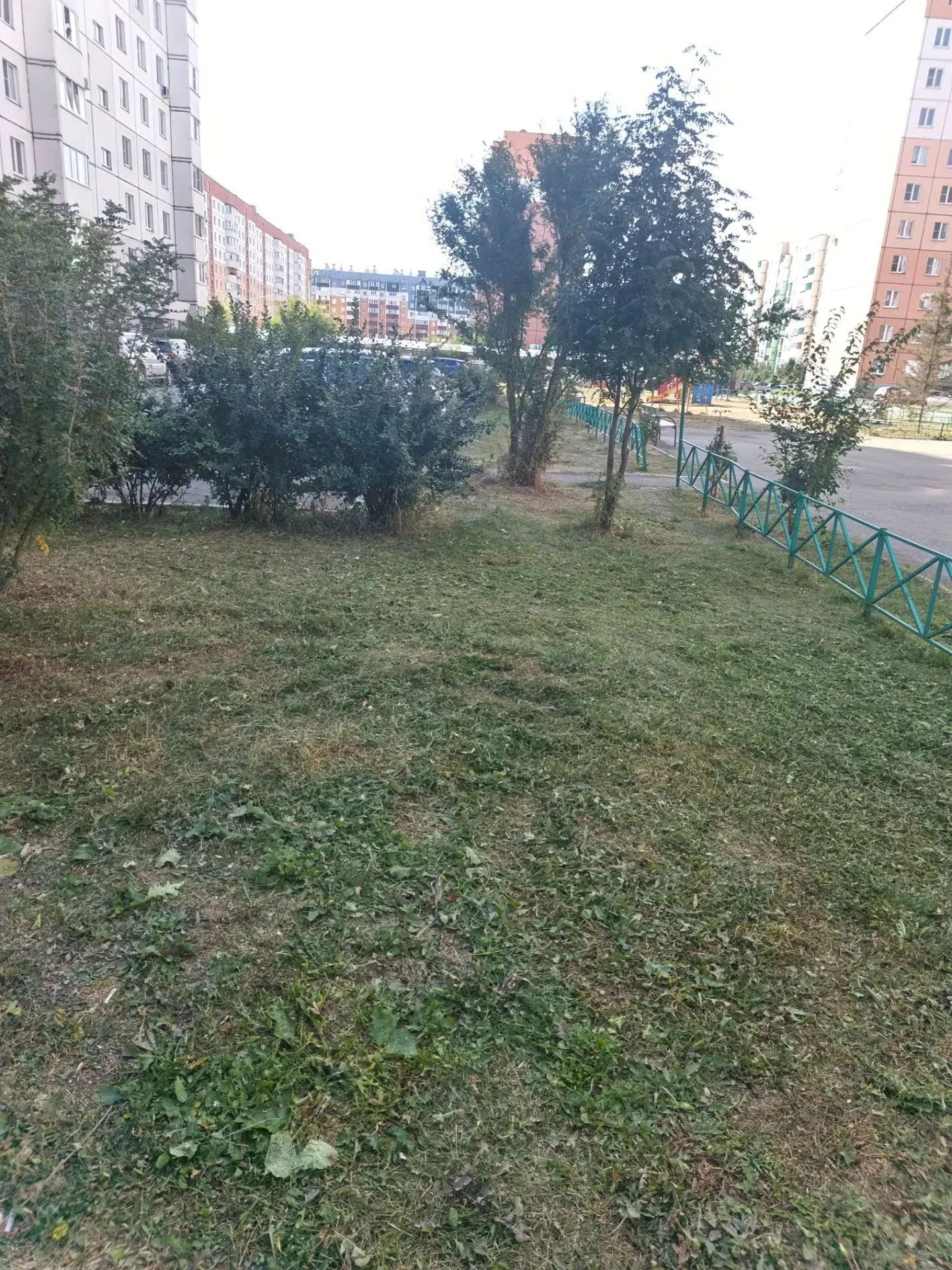 покос травы ул. Зелёный лог, 27/1