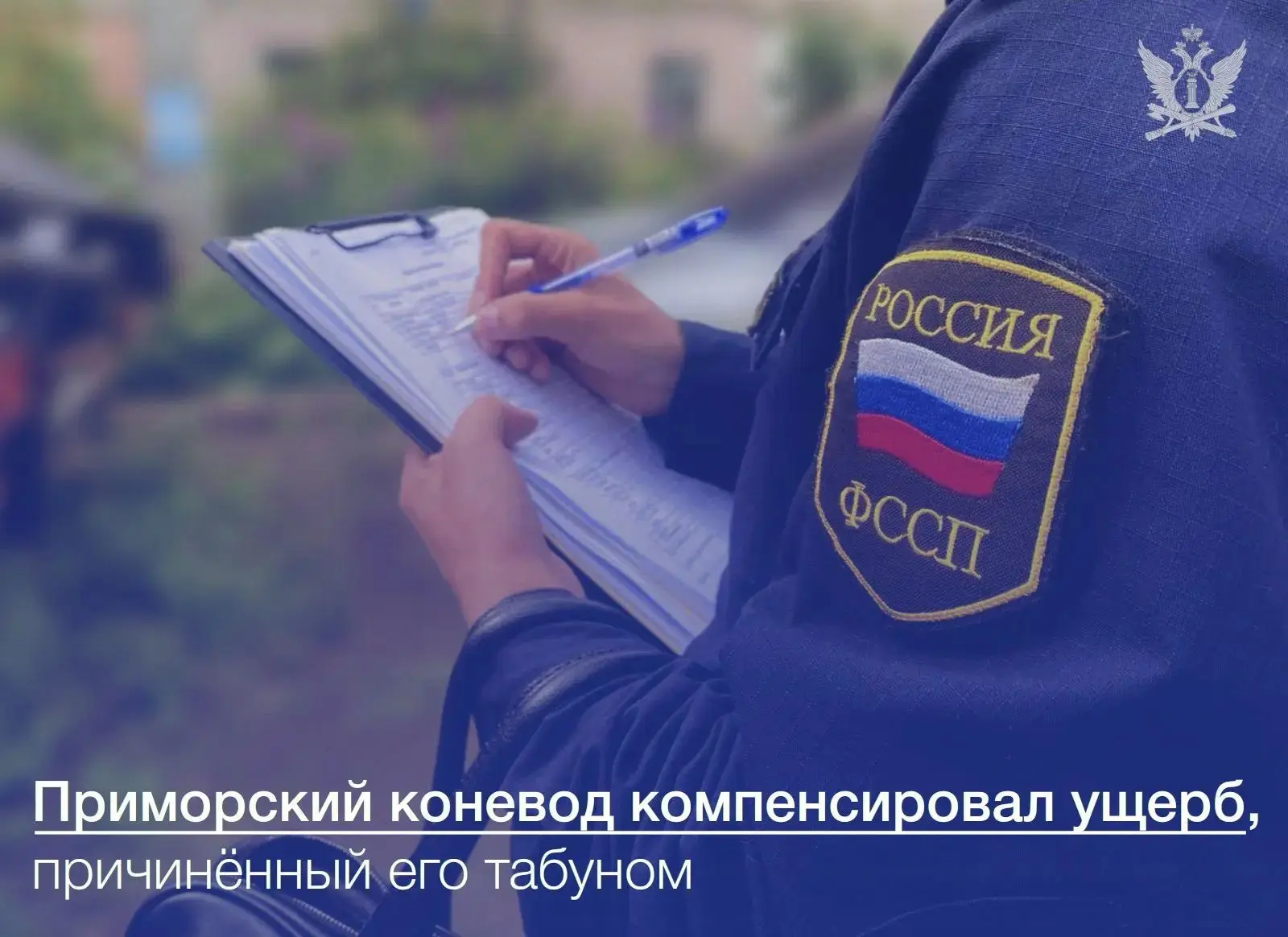 #новости

🚗 В Пограничном муниципальном округе произошло непростое ДТП.

🐎 Перед водителем легково
