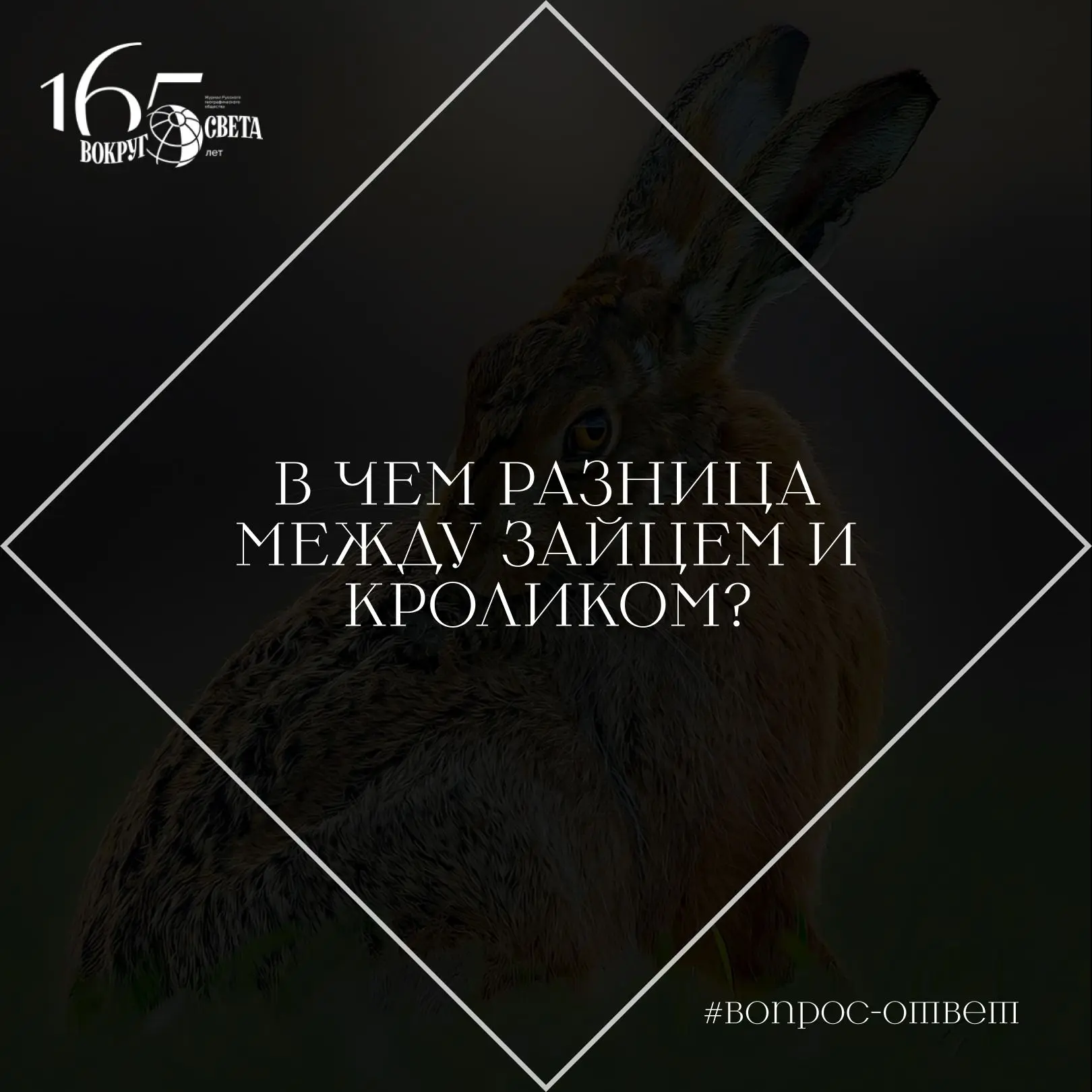 ❓ В чем разница между зайцем и кроликом?

Прежде всего они отличаются размерами и повадками.

Все по