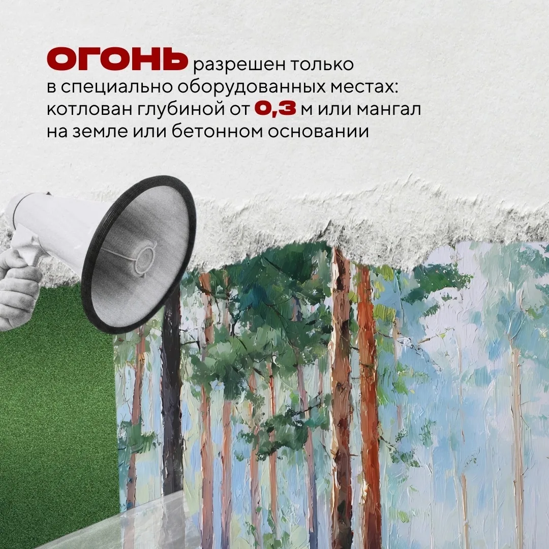В Югре началась пора отпусков и дачного отдыха — самое время для пикников и прогулок по лесу. Чтобы 